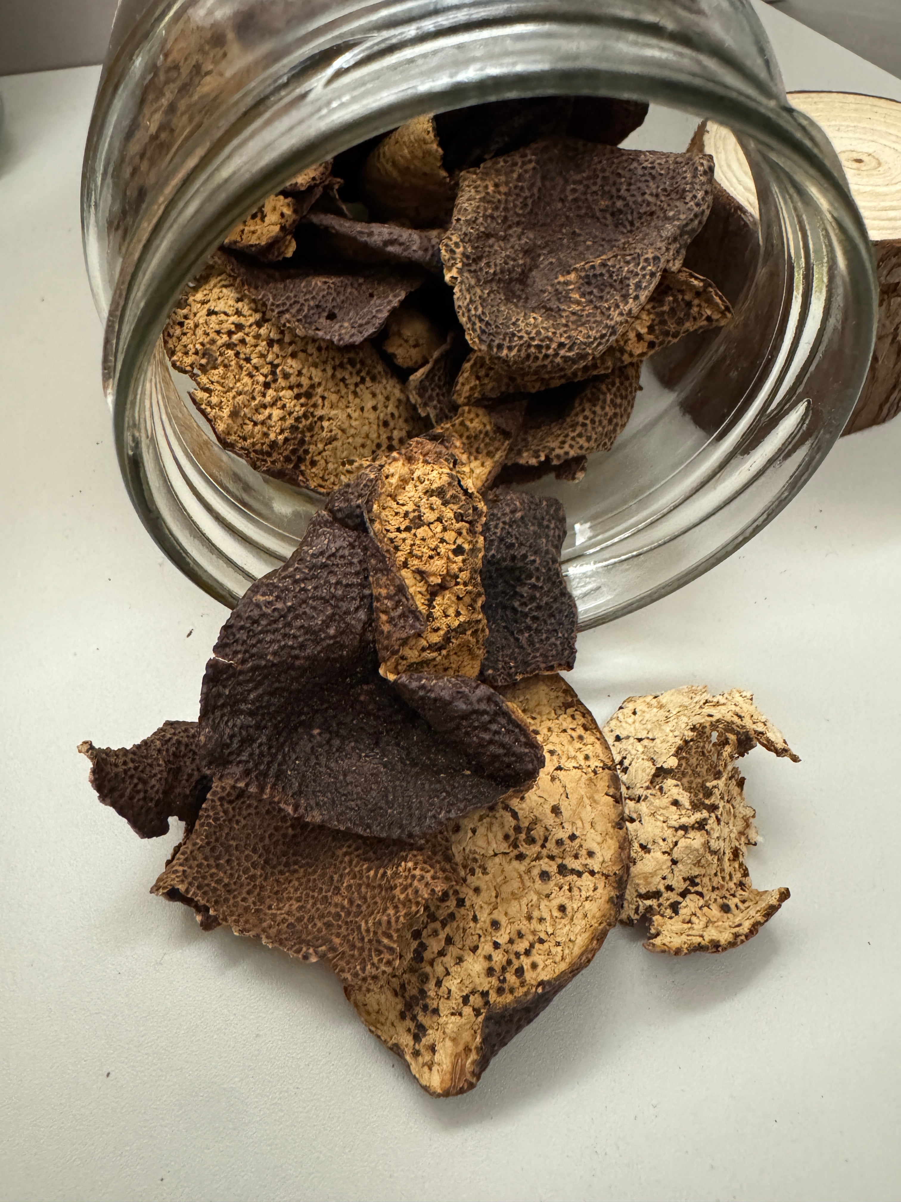 藍鬱金香新會陳皮-40克